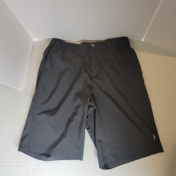 Gray and Tan Flat Front Shorts with Relaxed Fit - Picture 2 of 5